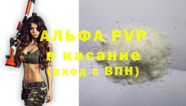 прущие грибы Бугульма