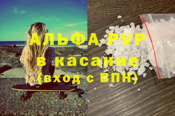 прущие грибы Бугульма