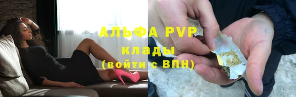 прущие грибы Бугульма