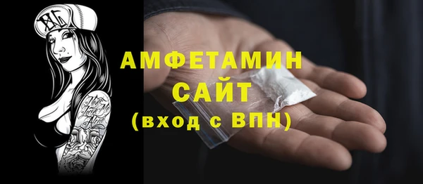 прущий лед Бородино