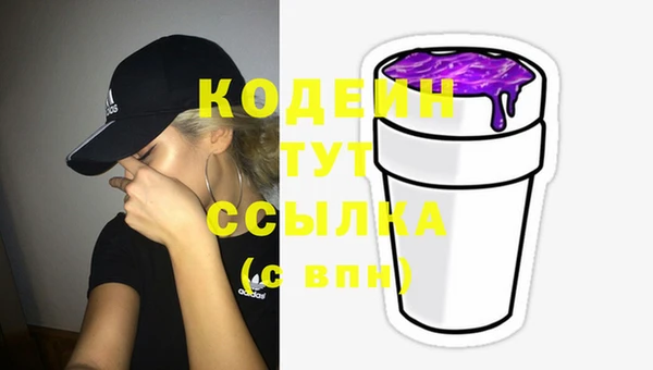 прущий лед Бородино