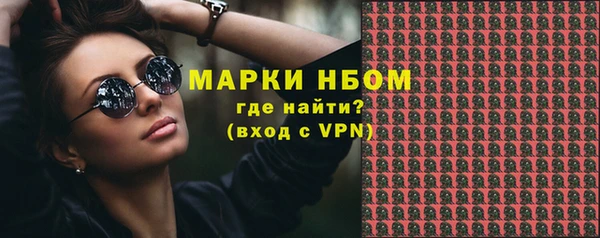 прущие грибы Бугульма