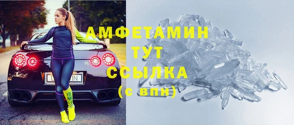 прущий лед Бородино